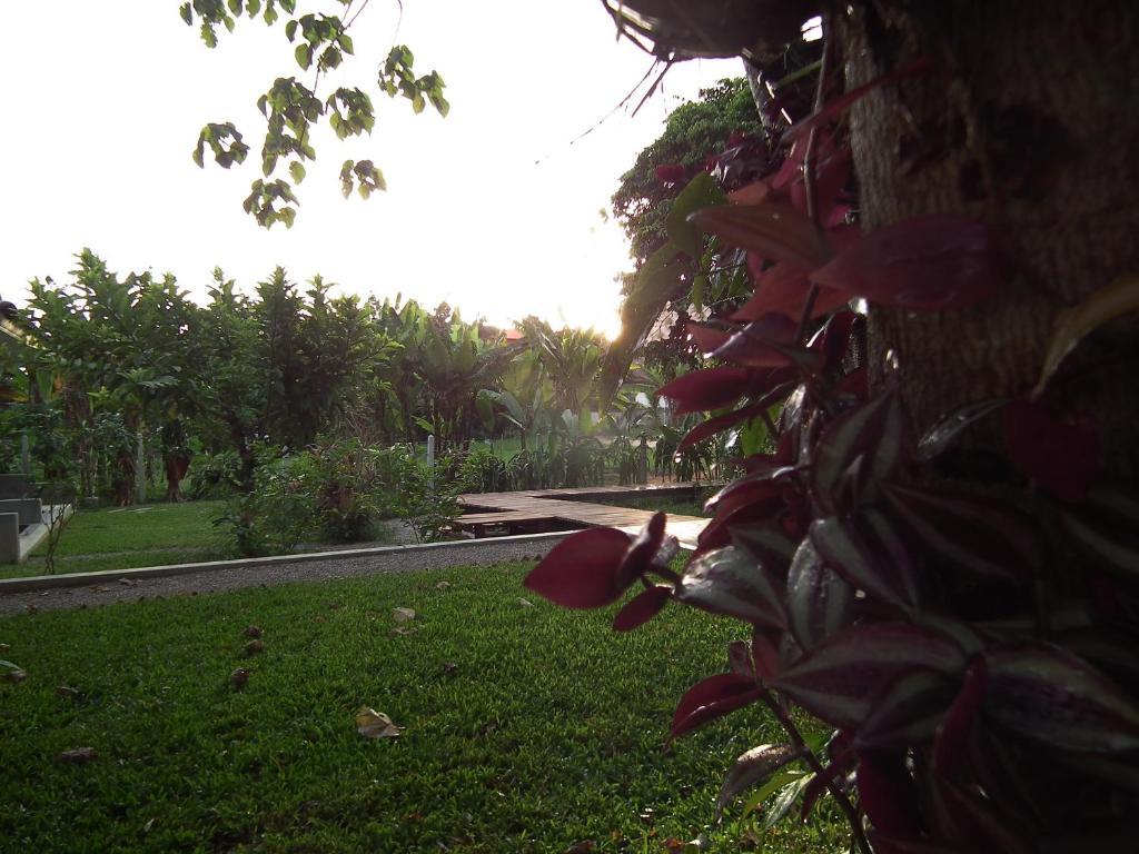 Villa De Mama Rawai Extérieur photo
